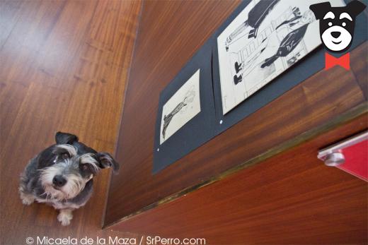 gallery-active-img