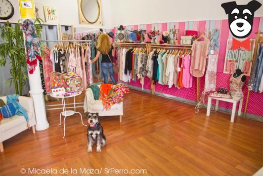 gallery-active-img