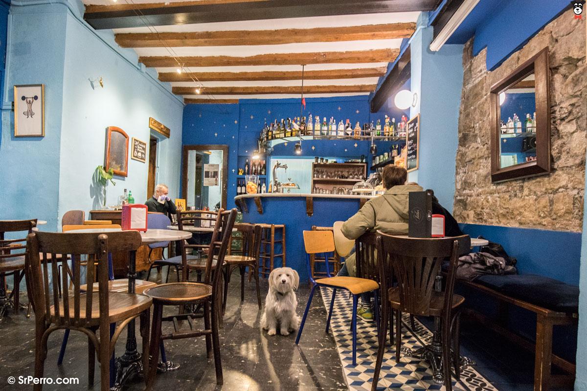Café Sabor SrPerro, la guía para animales urbanos.