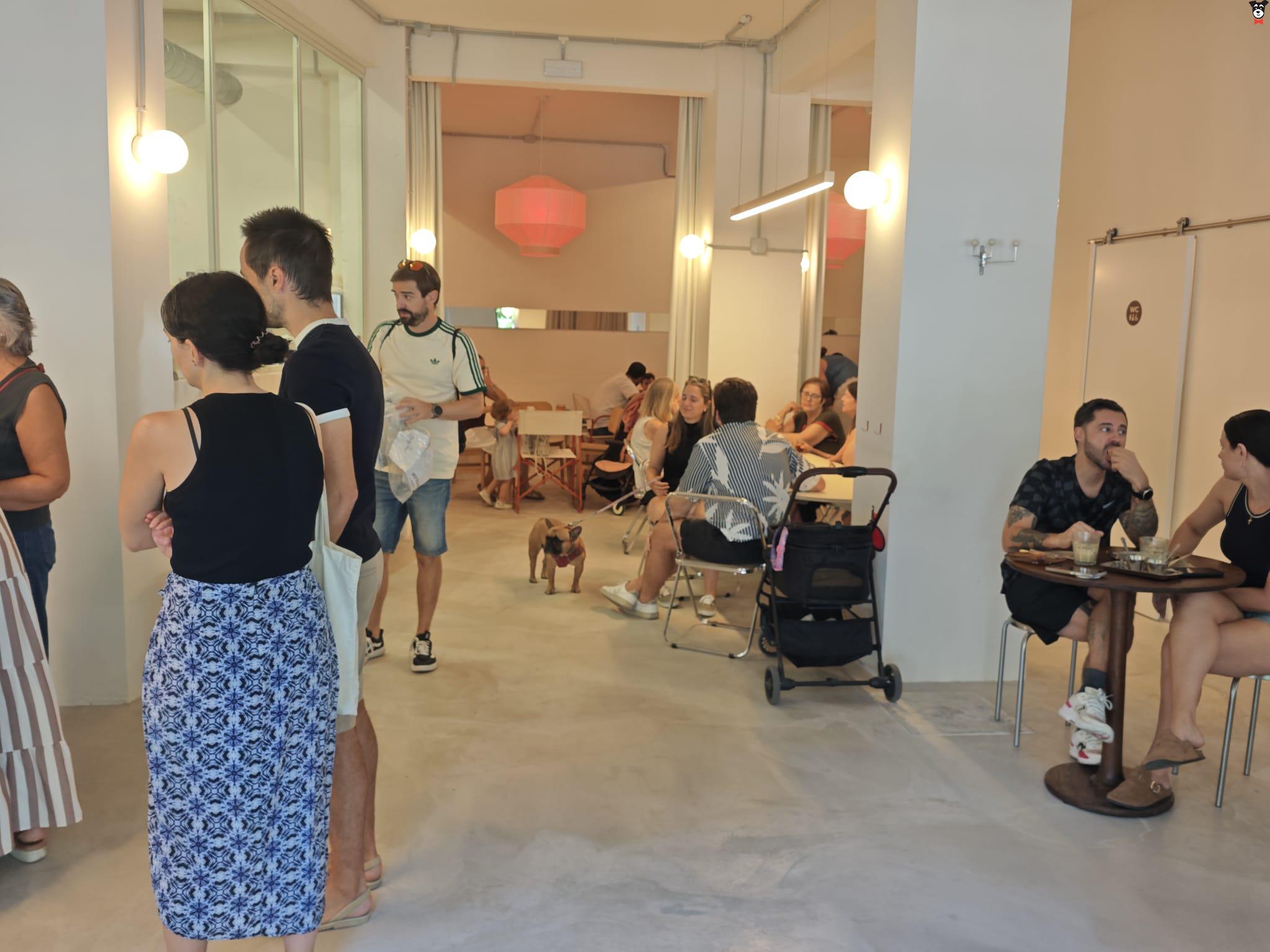 gallery-active-img