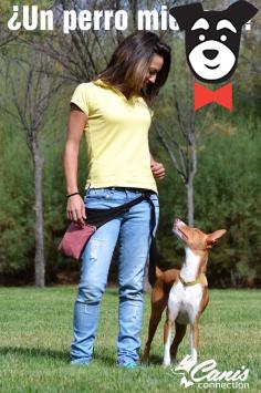 gallery-active-img