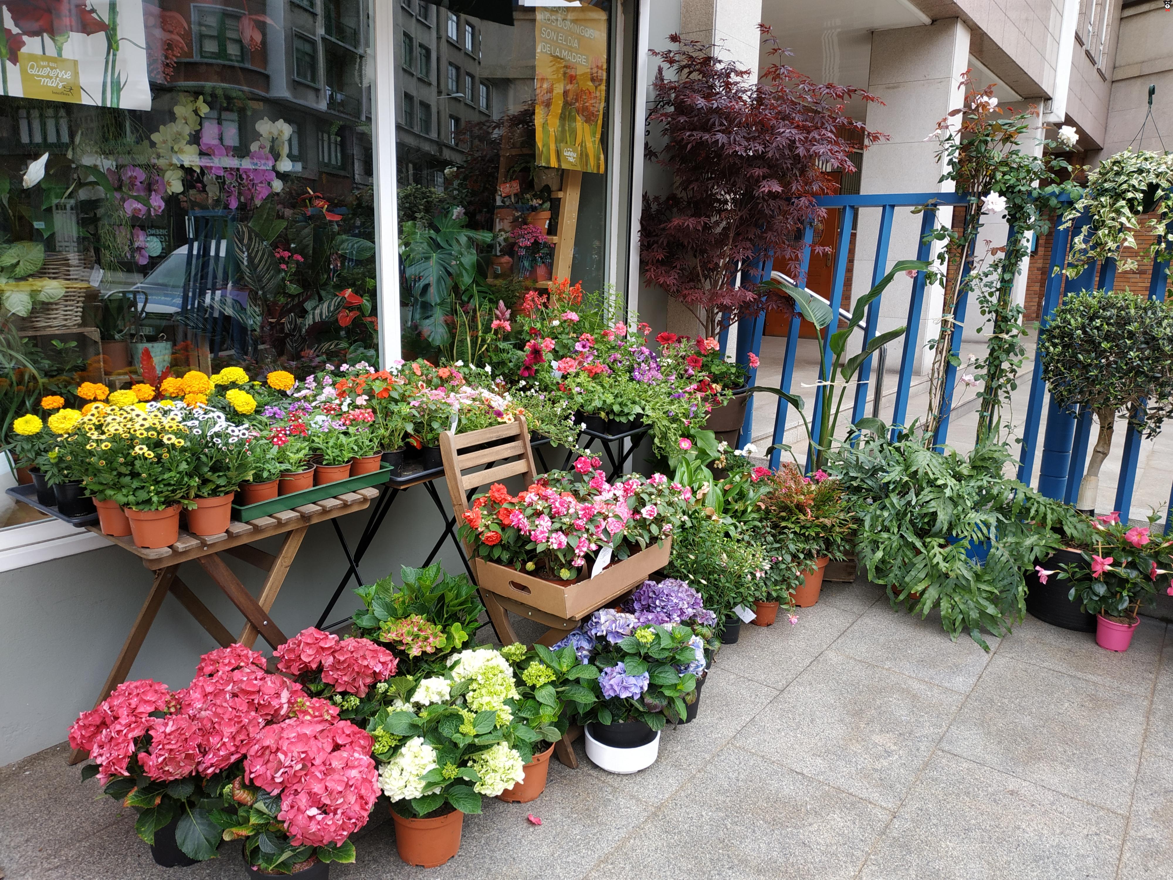 gallery-active-img