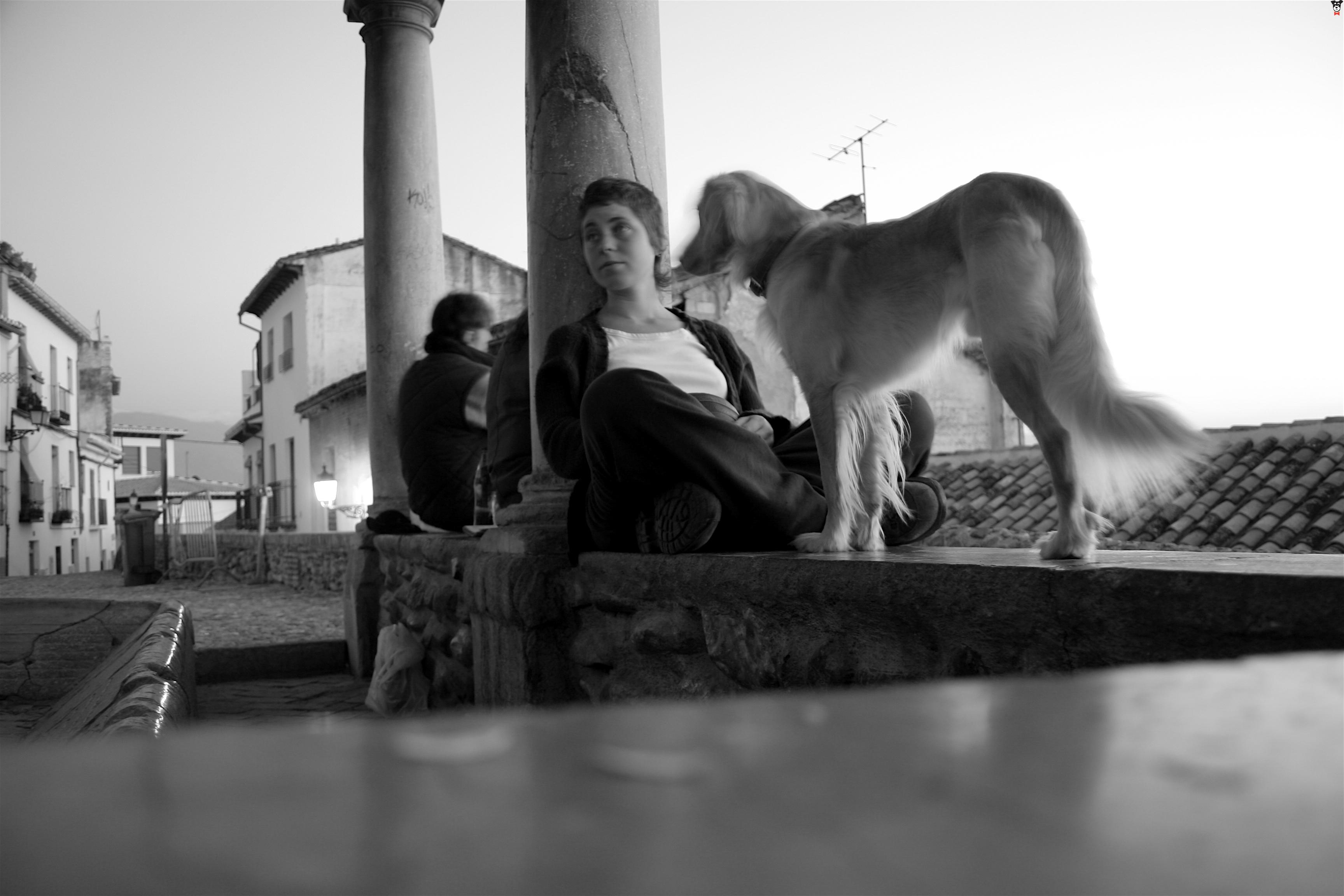gallery-active-img