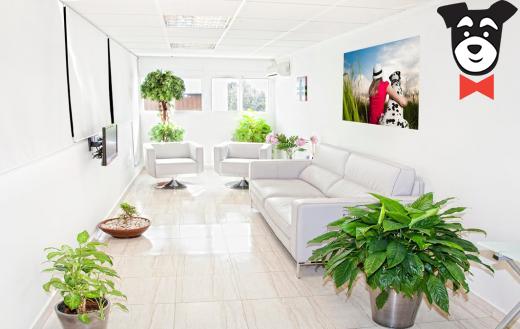 gallery-active-img