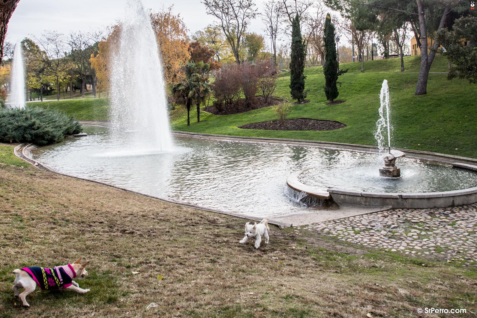 gallery-active-img