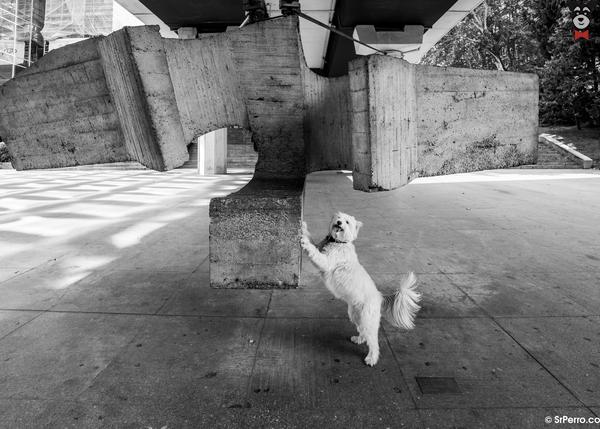 Museo de Escultura al Aire Libre