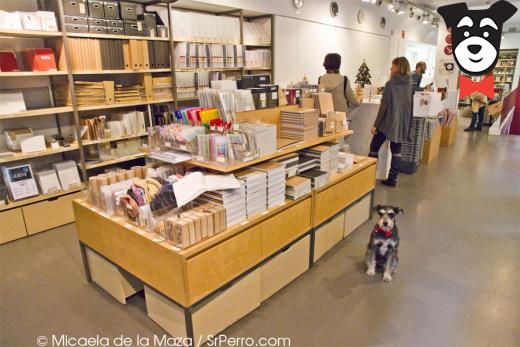 gallery-active-img