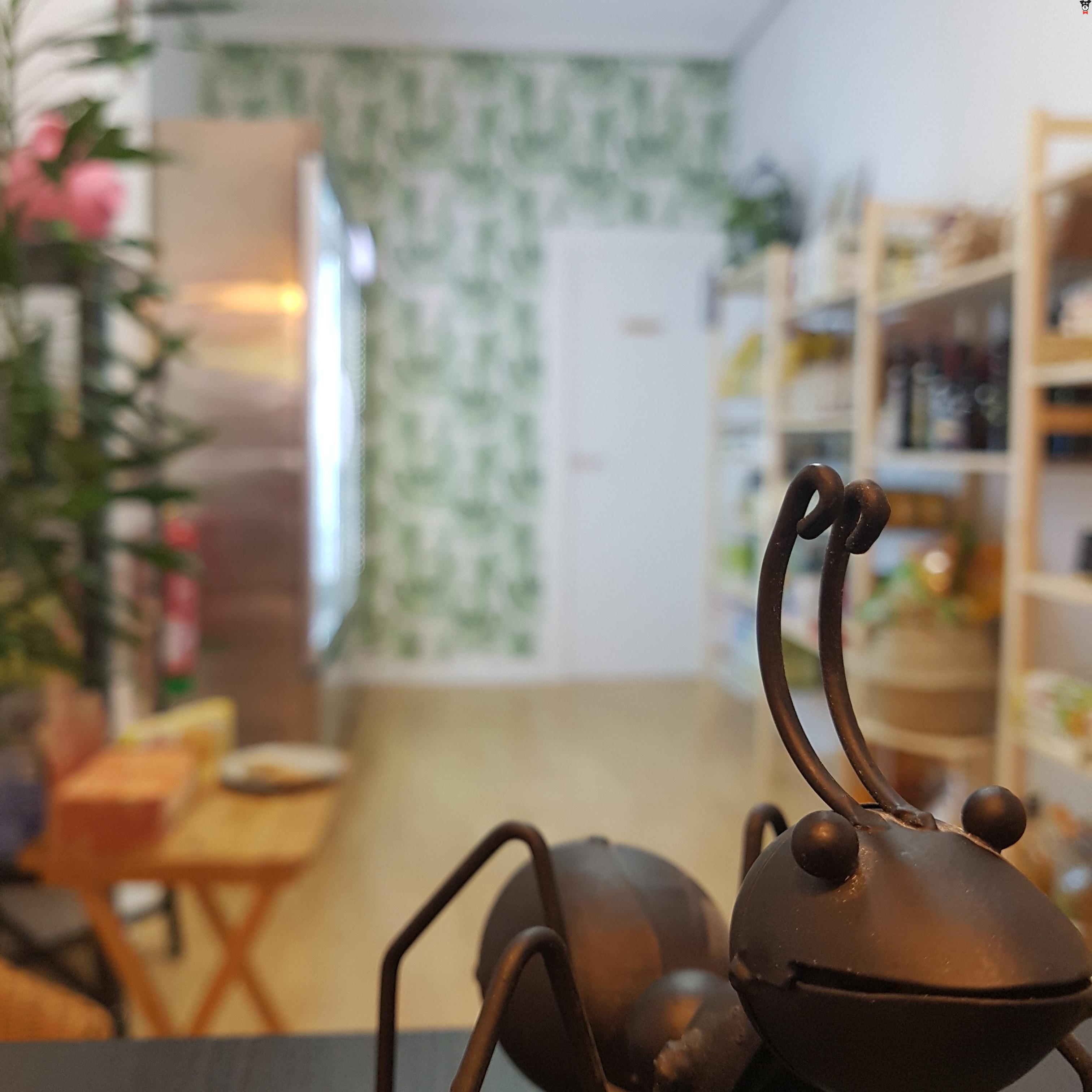 gallery-active-img