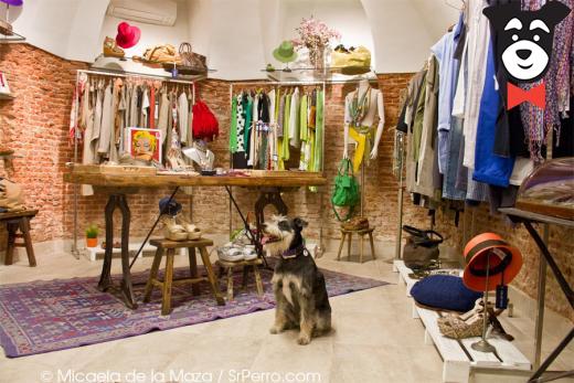 gallery-active-img