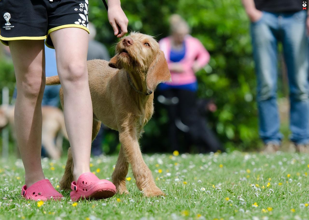 gallery-active-img