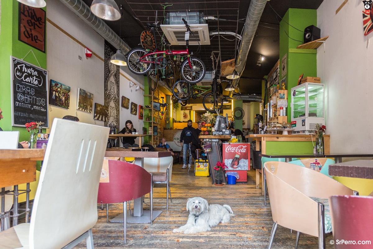 Vegan Cafe in malaga. Bikes, dogs, and coffees 