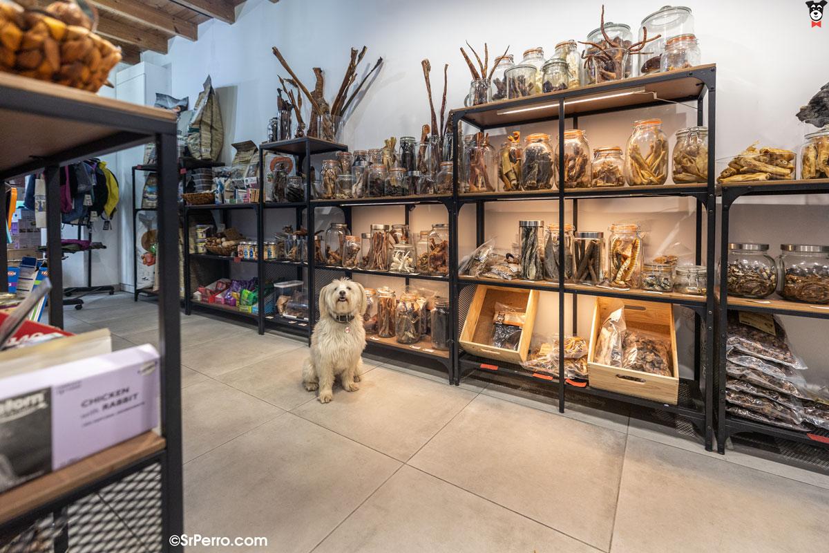 gallery-active-img