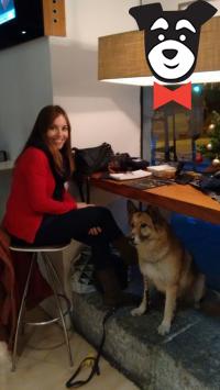 gallery-active-img