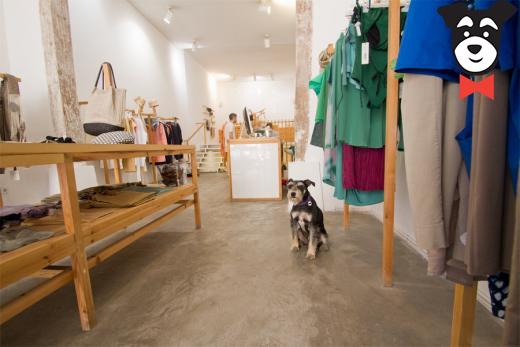 gallery-active-img