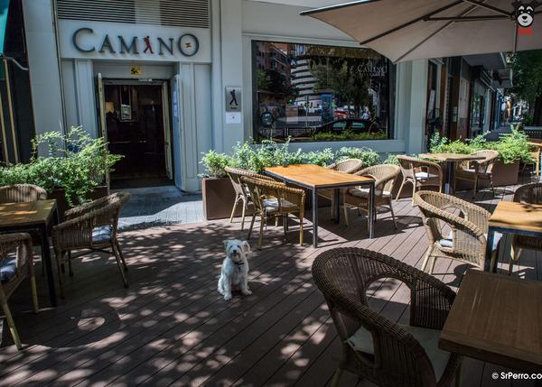 Ambiente del Restaurante