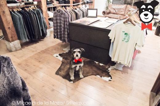 gallery-active-img
