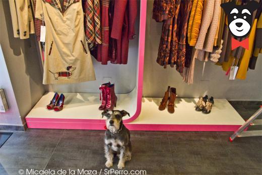 gallery-active-img
