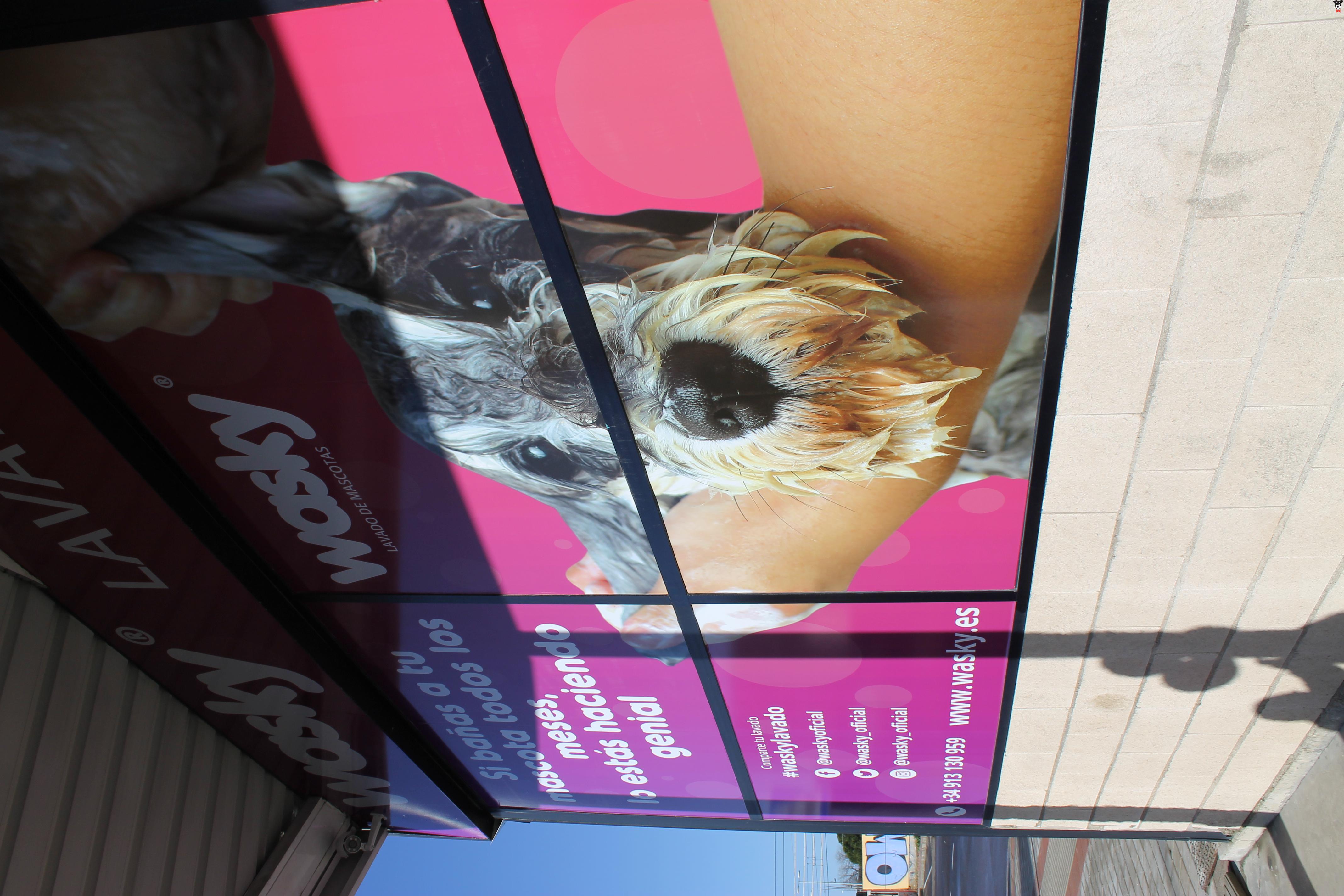 gallery-active-img