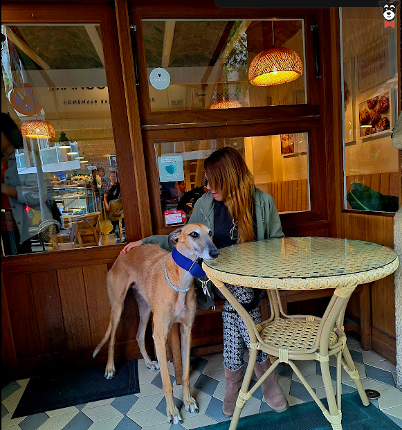 gallery-active-img