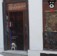 imagen de negocio