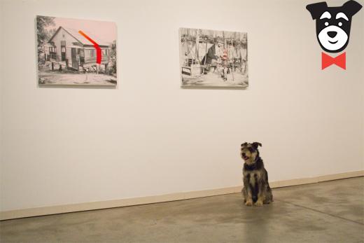gallery-active-img