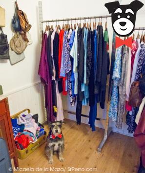 gallery-active-img