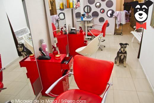 gallery-active-img