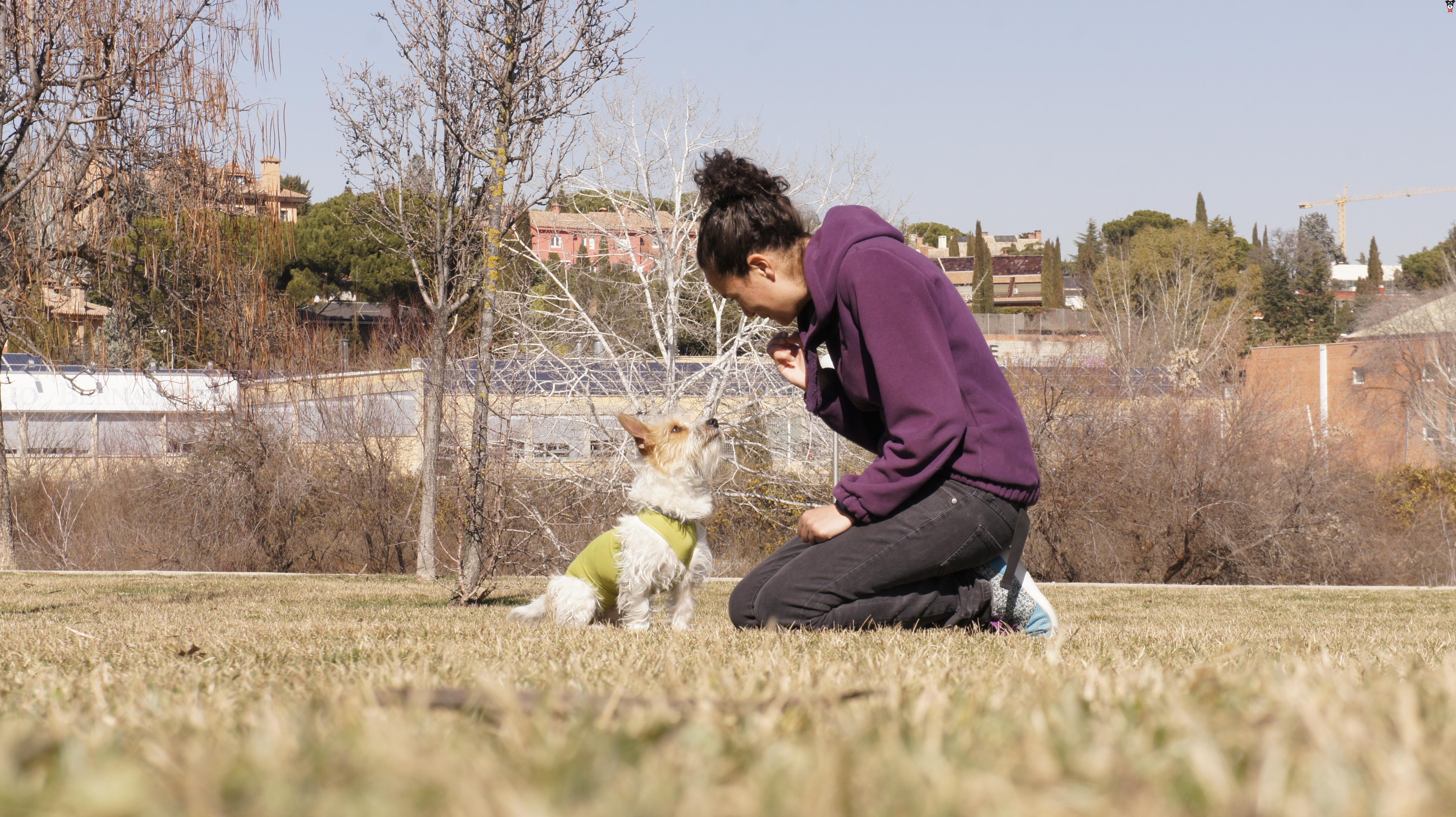 gallery-active-img