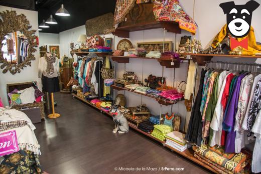 gallery-active-img