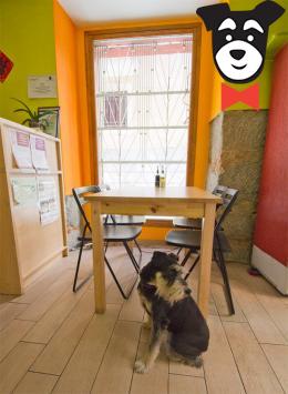 gallery-active-img