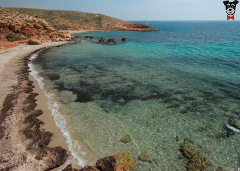 Contiene Maniobra Adviento Playas Caninas en Mazarrón: Las Moreras, Cobaticas y Gachero