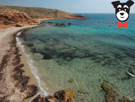 entusiasmo Ritual Enfriarse Playas Caninas en Mazarrón: Las Moreras, Cobaticas y Gachero