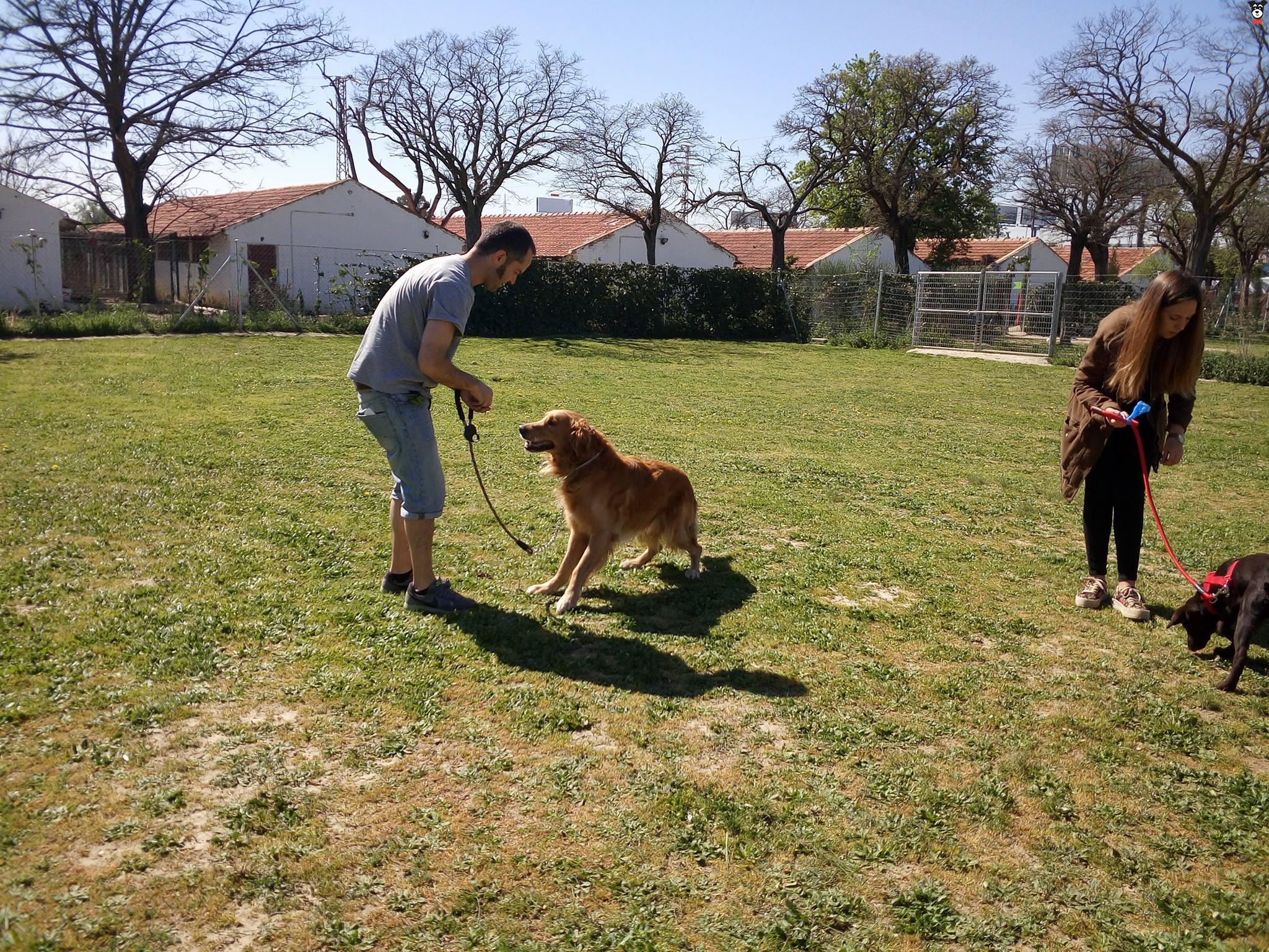gallery-active-img