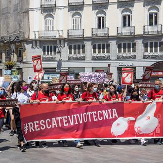 FAADA y AnimaNaturalis logran llevar a juicio el caso Vivotecnia …