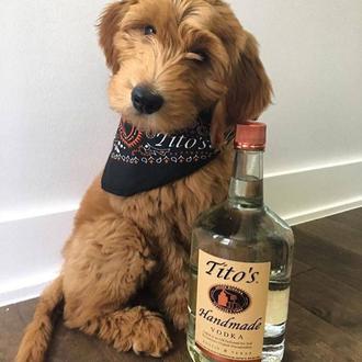 El vodka para la gente perruna, el vodka creado por …