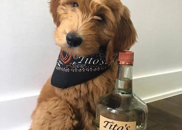 El vodka para la gente perruna, el vodka creado por la empresa más perruna