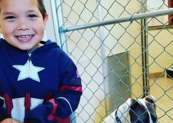 La solidaridad de un niño pequeño desata una oleada de donaciones a una protectora