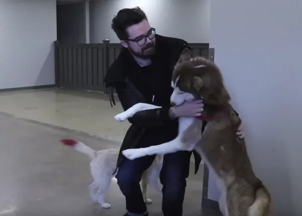 Un músico graba un videoclip en una protectora para dar visibilidad a los canes que buscan familia