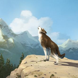 Colmillo Blanco: se estrena la versión animada del clásico perruno …