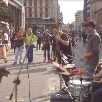 Un perro se une a una orquesta que toca en …