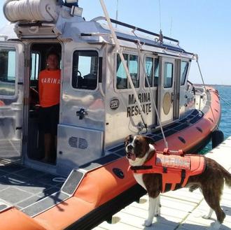 Odi, el mestizo rescatado tras un huracán que ahora trabaja …