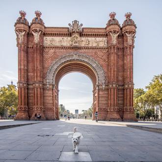 FAADA pide medidas urgentes para salvaguardar el bienestar de los …