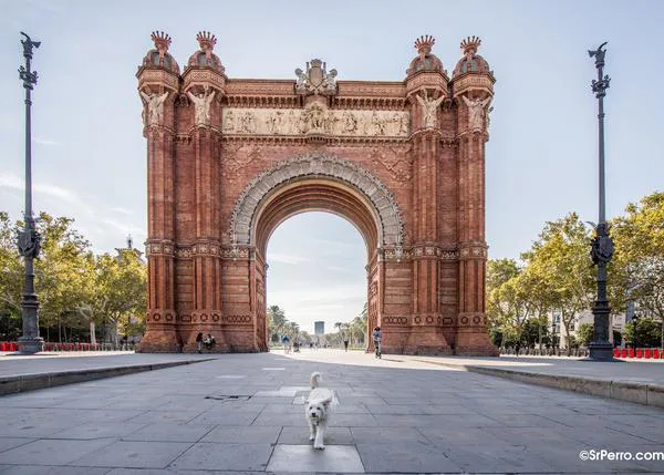 FAADA pide medidas urgentes para salvaguardar el bienestar de los animales en Cataluña ante un posible confinamiento