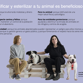 #SócResponsable consigue que más de 7600 animales sean esterilizados en …