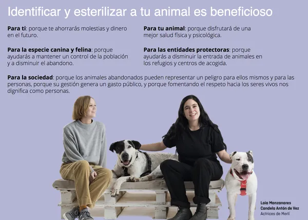 #SócResponsable consigue que más de 7600 animales sean esterilizados en Cataluña y apuesta por la educación canina