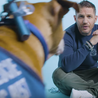 Tom Hardy le echa una pata a un grupo de …