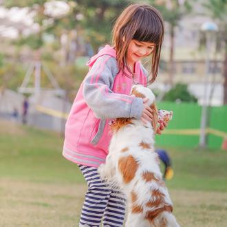 Es clave enseñar a los niños a entender y reaccionar …