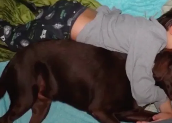 La soledad de un niño con autismo y el perro que hizo posible que volviera a abrazar a su madre