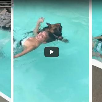 Un perro que tenía miedo al agua se lanza a …