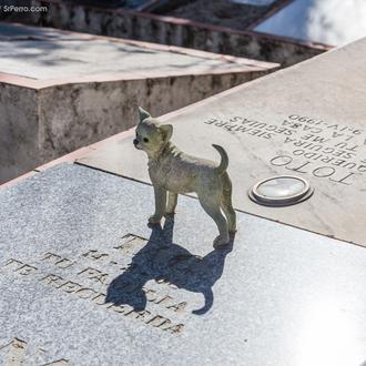 Cuestiones prácticas y trámites legales cuando muere un perro